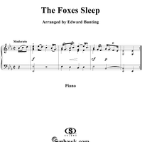 The Foxes Sleep