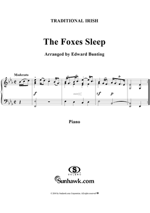 The Foxes Sleep