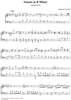 Sonata in B minor - K497/P357/L146