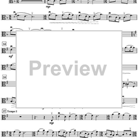 A Window to the Past