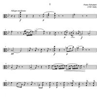 String Trio Bb Major D581A - Viola