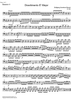 Divertimento Eb Major KV289 - Bassoon 2