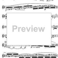 Divertimento No. 2 Op.93 - B-flat Bass Clarinet