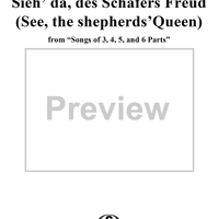 Sieh’ da, des Schäfers Freud