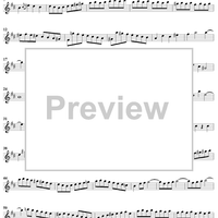 Flute Sonata No. 1 in B Minor, BWV1030 - Flute