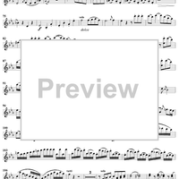 Violin Concerto No. 6 - Solo Violin