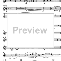 Concertino giocoso Op. 12 - Horn in F 2