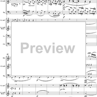 Serenade in D Minor, Op. 44, B77, Movement 2 - Score