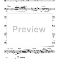 Laws Of Motion - Tuba