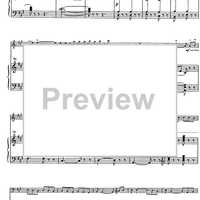 Suite andaluza - Score