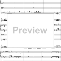 Violin Concerto in D Major, Movt. 1  Op. 7 No. 12   RV214 - Score