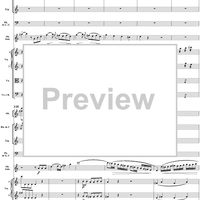 Oboe Concerto in C Major, HobVIIg/C1 Movement 1 - Full Score