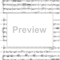 Horn Concerto No. 1 in D Major, K386b (K412 & K514)