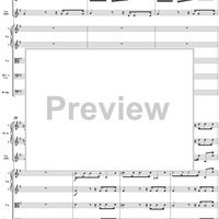 Concerto in E minor: Movement 1 - Full Score