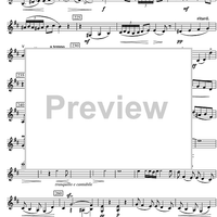 Sonata d minor - Violin