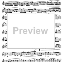 Preliminary studies to 'The Accomplished Clarinettist' Vol. 2 - Clarinet