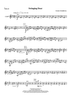 Swinging Door - Violin 2