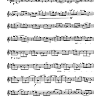 Preliminary studies to 'The Accomplished Clarinettist' Vol. 2 - Clarinet