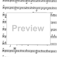 Moto perpetuo Op.11 - Double Bass