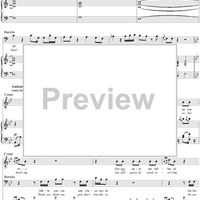 Recitative and Duettino: Pace e gioia, No. 12 from "Il Barbiere di Siviglia"