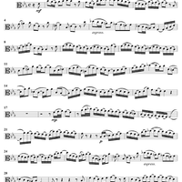 "Willkommen! will ich sagen," Aria, No. 3 from Cantata No. 27: Wer weiss, wie nahe mir mein Ende, BWV27 - Viola