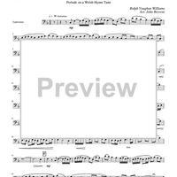 Rhosymedre - Prelude on a Welsh Hymn Tune - Euphonium