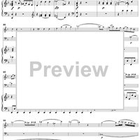 Piano Trio in D Minor K442 - Piano Score