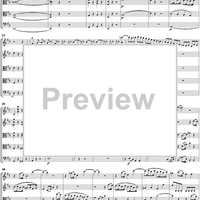 String Quintet No. 5 in D Major, K593 - Score