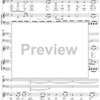 Twenty five Irische Lieder