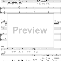 Recitative and Duettino: Pace e gioia, No. 12 from "Il Barbiere di Siviglia"