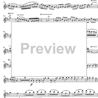 Argentinian Rhapsody - Flute