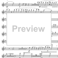 Concertino - Flute 1