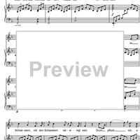 Last Rose from Martha