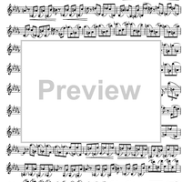 The Accomplished Clarinettist Vol. 2 - Clarinet