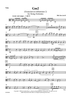 Gm2 (Greensleeves millennium 2) - Viola