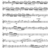 Argentinian Rhapsody - B-flat Bass Clarinet