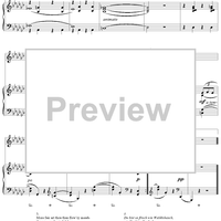 Woodland Wandering (Waldwanderung)