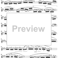 Variations on Trockne Blumen - Flute