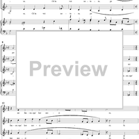 I Bei Ligustri e Rose