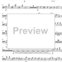 Argentinian Rhapsody - Cello