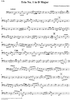 Trio Sonata No. 1 in D Major - Cello
