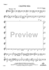 Calypso Sea - Violin 2
