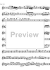Piano Trio  No. 1 G Major KV496 - Violin