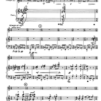 Trumpet Concerto - Score