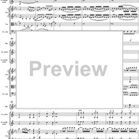 Horn Concerto No. 4 in E-flat Major, K495