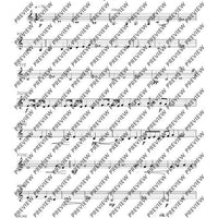 Missa Argentina - Violin 2