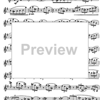 The Accomplished Clarinettist Vol. 1 - Clarinet