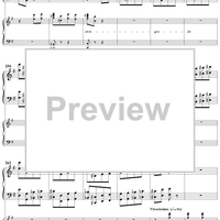 Concert Fantasy. Part 2. Contrastes