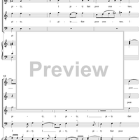 Lady, the Silly Flea