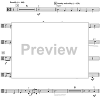 Harry's Wondrous World